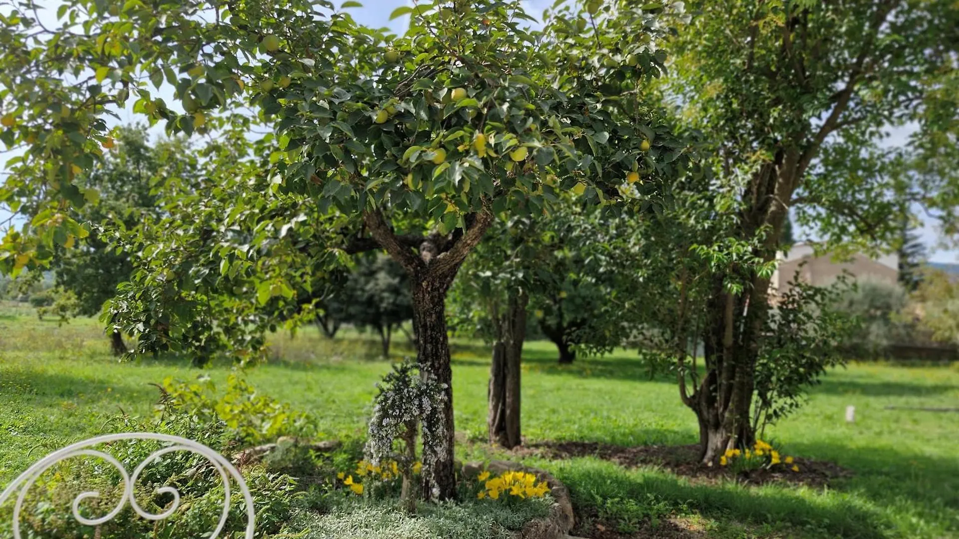 Appartamento La Bastideta, Fayence