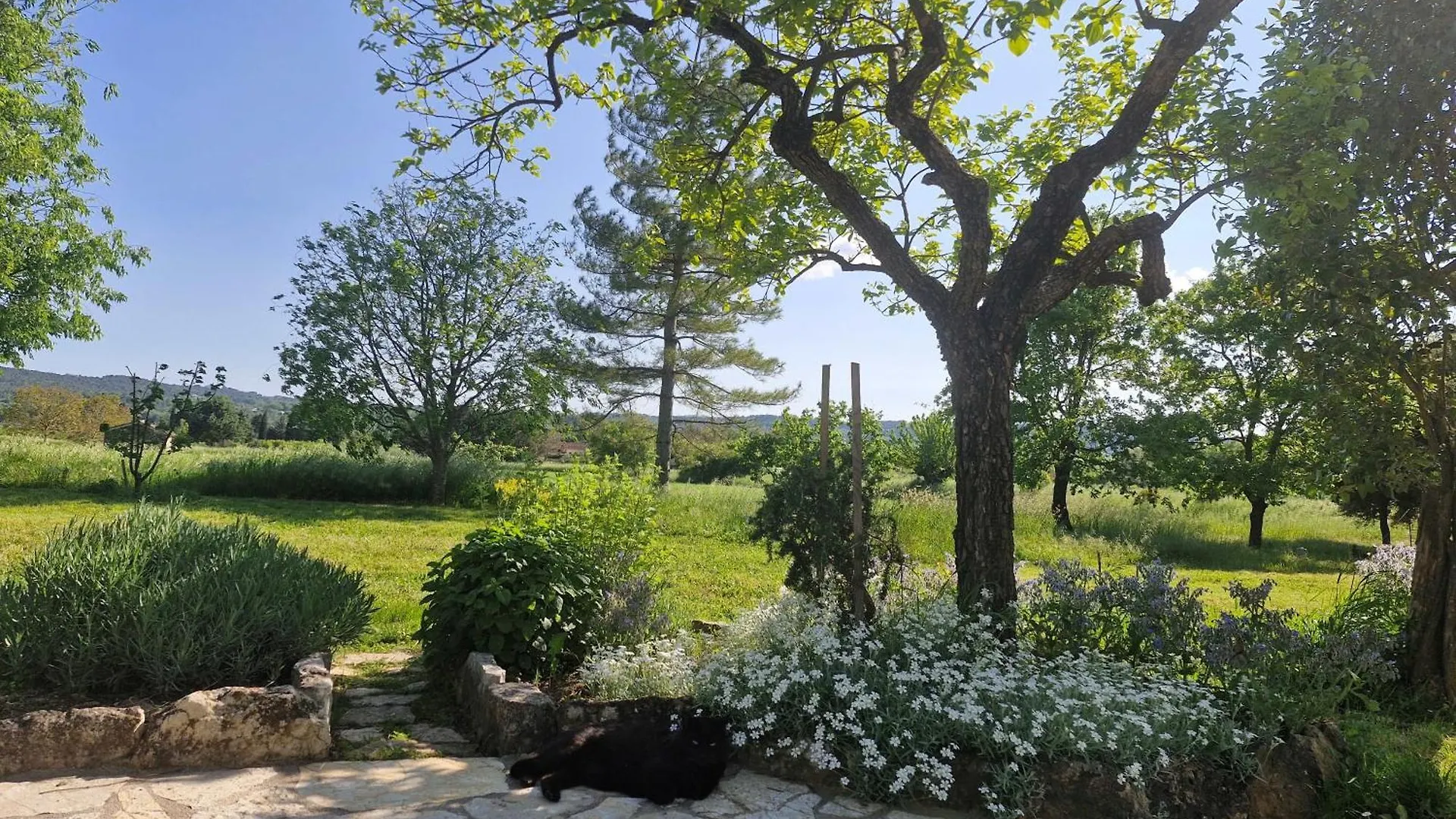 Appartamento La Bastideta, Fayence Francia